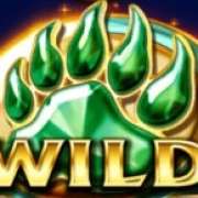 Символ Wild в Wild Country