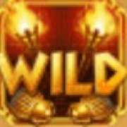 Символ Wild в Indi