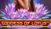 Goddess Of Lotus Blooming Wonder