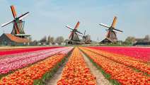 В Нидерландах могут повысить налог на гемблинг до 37,8%