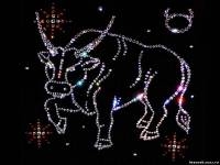 азартный гороскоп - Телец