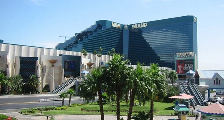 Пальмы на фоне вида на отель MGM Grand Hotel