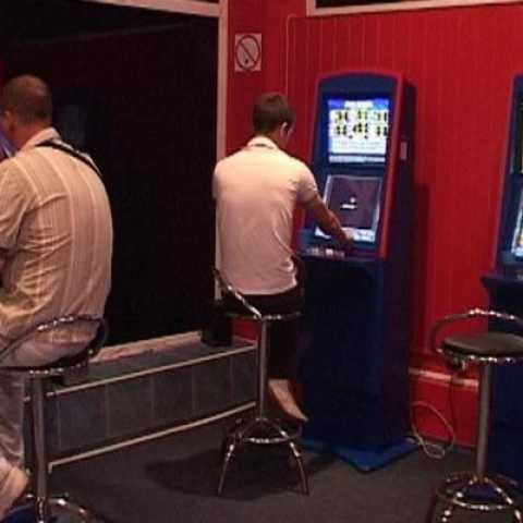Неужели в Житомире никто не замечал зал игровых автоматов?