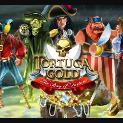 Пиратские развлечения в игровом автомате Tortuga