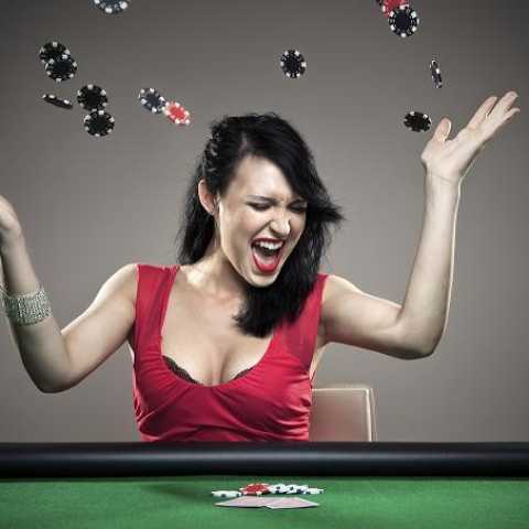 Внешний вид и софт в Winner Poker