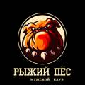 Казино Red Dog