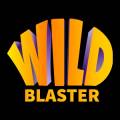 Казино WildBlaster