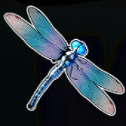 Символ Dragonfly у Big Bass Bonanza