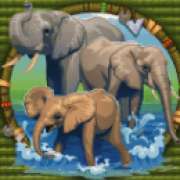 Символ Слон и слоненок в King Tusk
