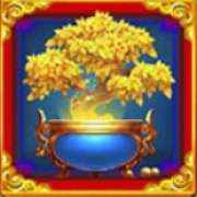 Символ Денежное дерево в Treasure Rain