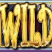 Символ Wild в Cherubs and Imps
