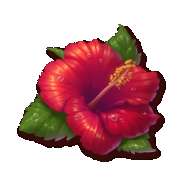 Символ Символ Орхидея в Bikini Island Deluxe