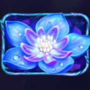 Символ Голубой цветок в Firefly Frenzy