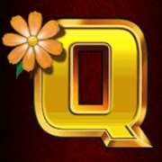 Символ Q в Chicken Fox 5x Skillstar