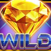 5 Diamond Plus: Wild