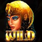 Символ Wild в Times Of Egypt