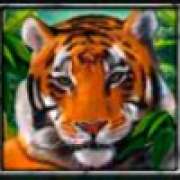 Символ Тигр в The Jungle II