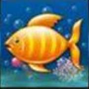 Символ Морская рыбка в Ocean Tale