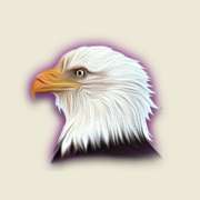 Символ Bald Eagle в The Wildlife