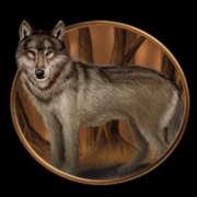 Символ Волк в Night Wolves