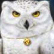Символ Сова в Magic Owl