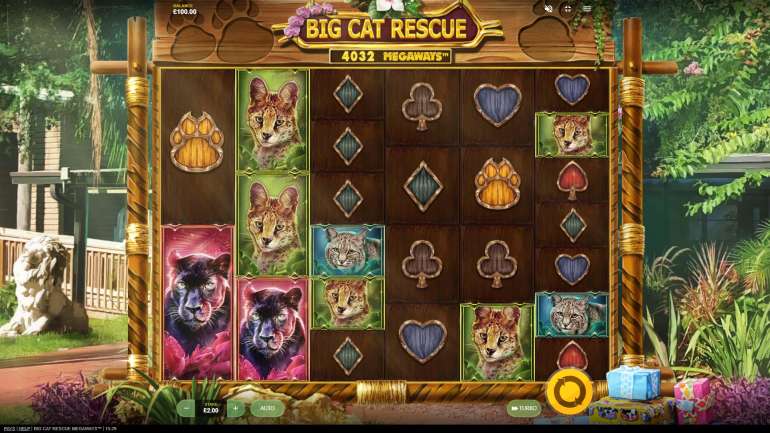 Дизайн в Спасение Большой Кошки Мегавейс Тема в Big Cat Rescue Megaways