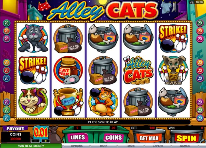 Alley Cats