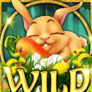 Символ Wild в Retro Easter