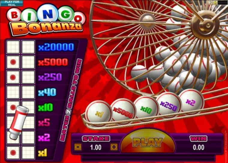 Видео покер Bingo Bonanza демо-игра