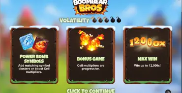 Boombear Bros: Уникальные функции