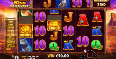 Buffalo King Megaways: Выигрыши