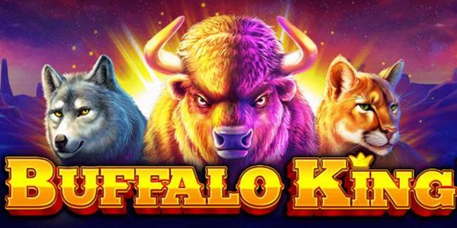 Buffalo King