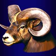 Buffalo Lightning: Козел