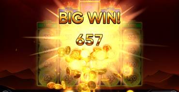 Burning Coins 20: Выигрыши