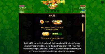Burning Slots Cash Mesh Ultra Dice: Бонусные игры