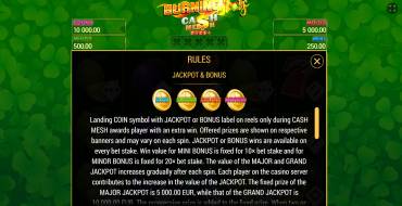 Burning Slots Cash Mesh Ultra Dice: Джекпот