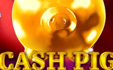 Cash Pig