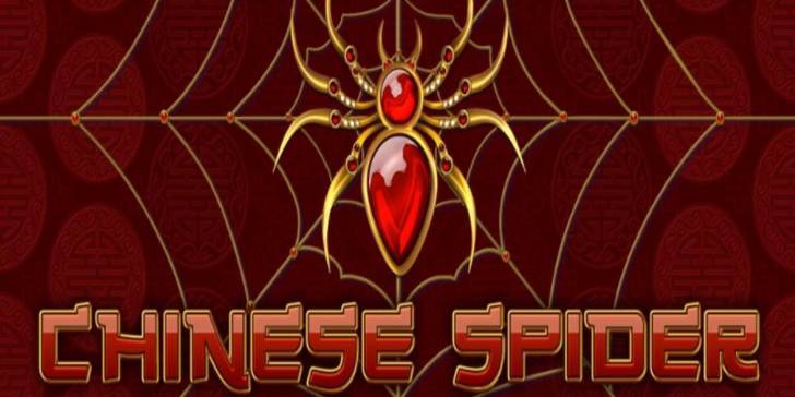 Chinese Spider