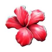 Club Tropicana — Happy Hour: Цветок