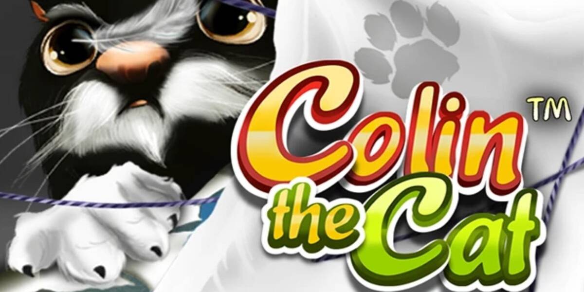 Colin the Cat