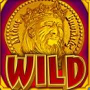 Символ Wild в Midas Wilds