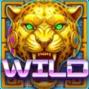 Disco Inferno: Wild