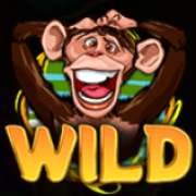 Символ Wild в Wacky Monkey
