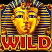 Символ Wild в Pyramid King
