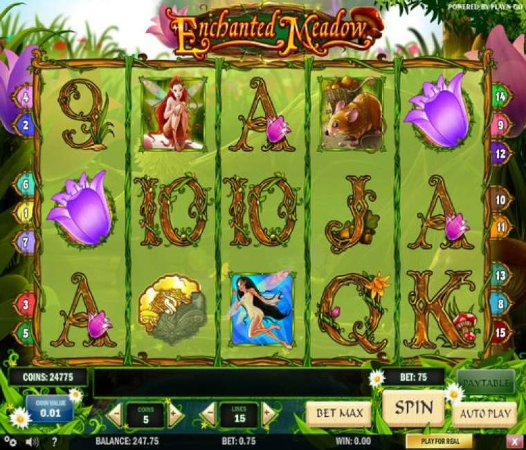 Видео покер Enchanted Meadow демо-игра