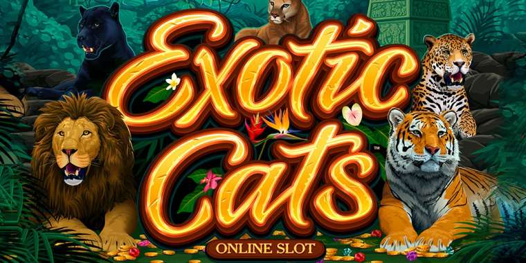 Онлайн слот Exotic Cats играть