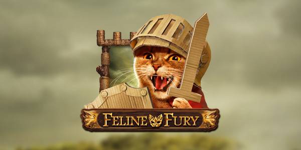 Feline Fury