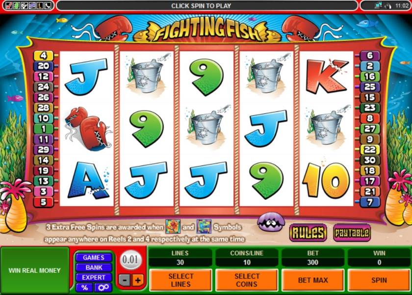 Fighting Fish