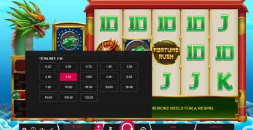 Fortune Rush: Ставка