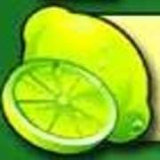 Fruit Fiesta 5 Reel - Progressive: Лайм